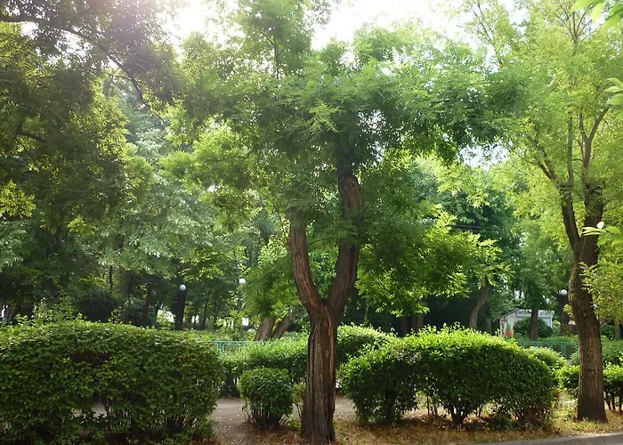 Sea Garden Plaza - Free Parking בורגאס