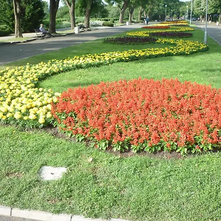 Appartement Sea Garden Plaza - Free Parking *