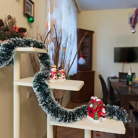 Sea Garden Plaza - Free Parking 公寓 布尔加斯